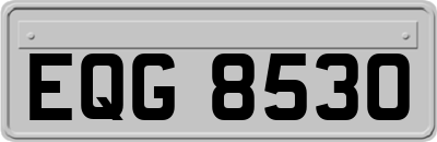EQG8530