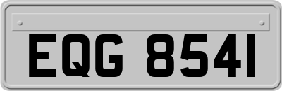 EQG8541
