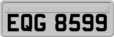 EQG8599