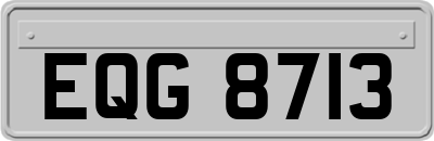 EQG8713