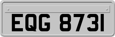 EQG8731