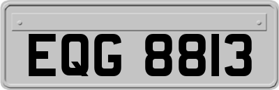 EQG8813