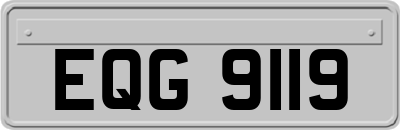 EQG9119