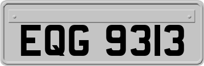 EQG9313