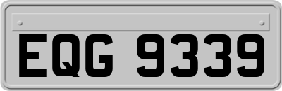 EQG9339