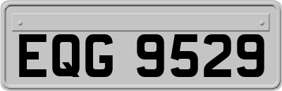 EQG9529