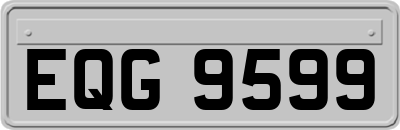 EQG9599