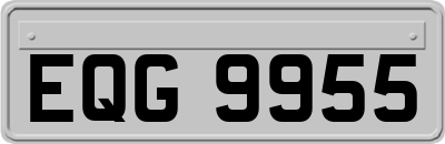 EQG9955