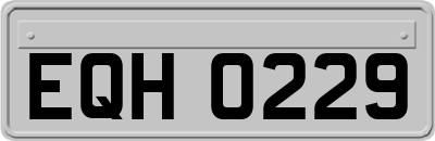 EQH0229