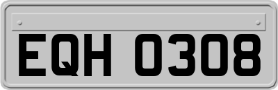 EQH0308