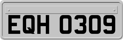 EQH0309