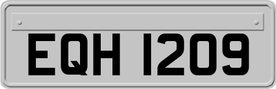 EQH1209