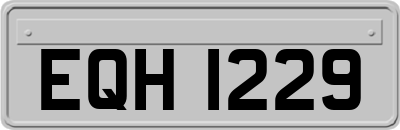 EQH1229
