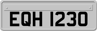 EQH1230