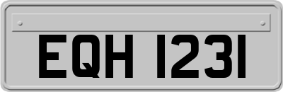 EQH1231