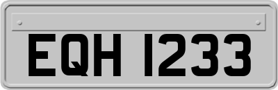 EQH1233