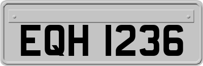 EQH1236