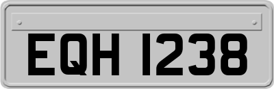EQH1238