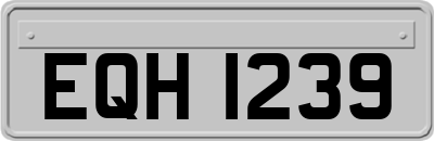 EQH1239