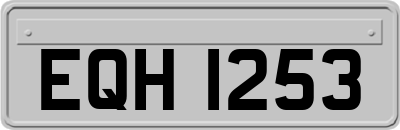 EQH1253