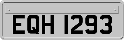 EQH1293