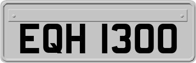 EQH1300