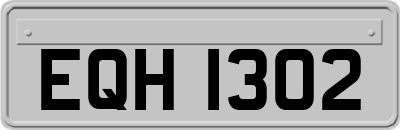 EQH1302