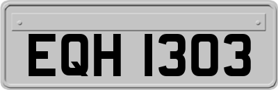 EQH1303