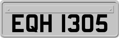 EQH1305