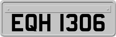 EQH1306