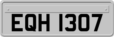 EQH1307
