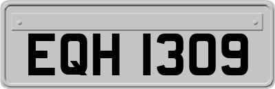 EQH1309