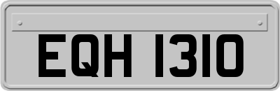 EQH1310