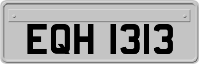 EQH1313