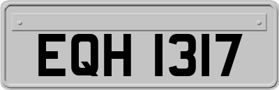 EQH1317