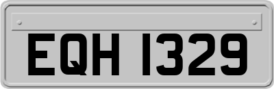 EQH1329