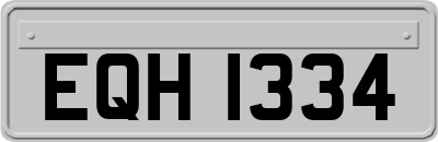 EQH1334