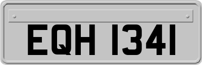 EQH1341
