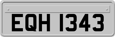 EQH1343