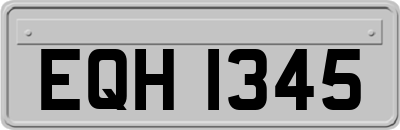 EQH1345