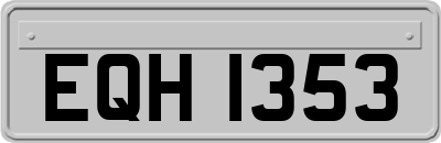 EQH1353