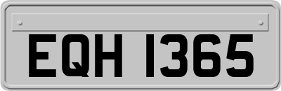 EQH1365