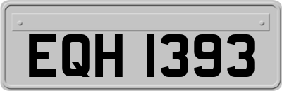 EQH1393