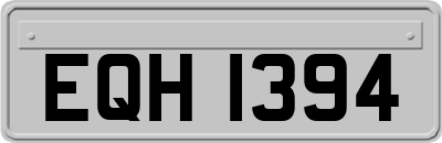 EQH1394
