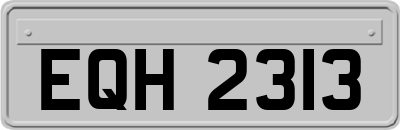 EQH2313