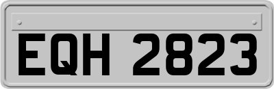 EQH2823
