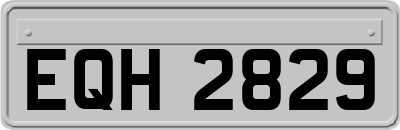 EQH2829