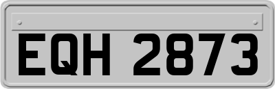 EQH2873