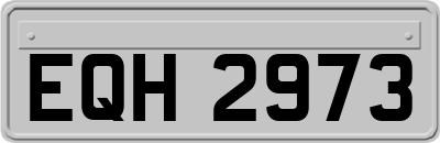 EQH2973
