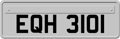 EQH3101